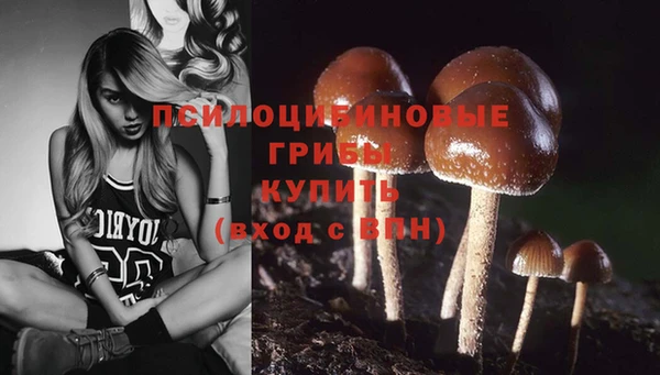 марихуана Бородино