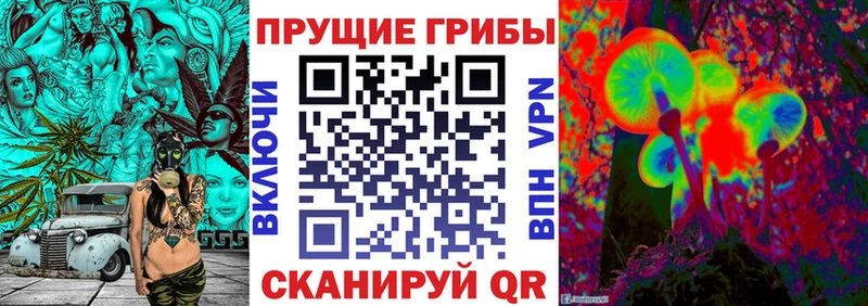 Псилоцибиновые грибы прущие грибы Копейск